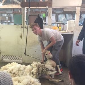 Meet your Posher, Jack